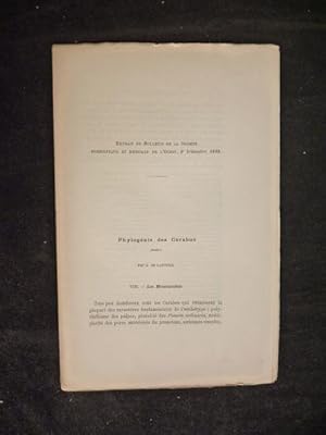 Phylogénie des carabus : VIII - Les mesocarabus