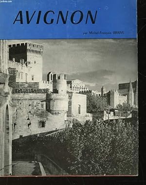 Seller image for AVIGNON VILLENEUVE-LES-AVIGNON for sale by Le-Livre