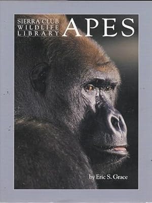 Apes