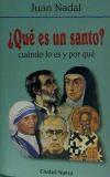 ¿Qué es un santo? : cuándo lo es y por qué