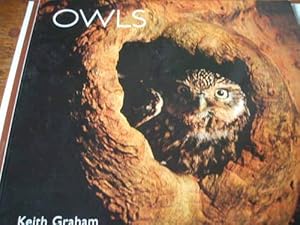 Owls