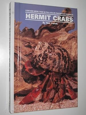 Hermit Crabs