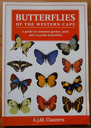 Butterflies of the Western Cape