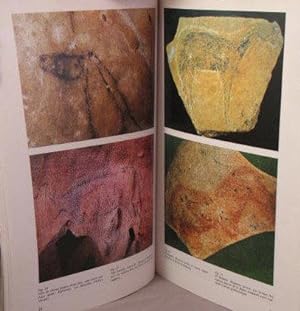BCSP 24. World Journal of Prehistoric and Primitve Art; Periodico Internazionale di Arte Preistor...