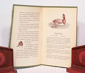 Seller image for Ducks - A Portfolio of Engravings of Ducks By the Famous Artist Thomas Bewick 1753-1828 for sale by you little dickens