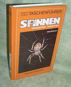 Spinnen. beobachten -bestimmen.