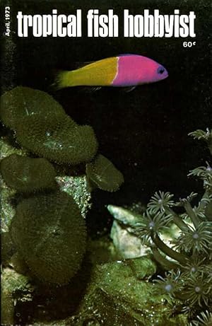 Tropical Fish Hobbyist - April 1973