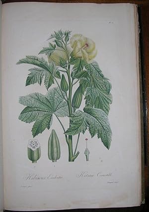 Flore des Antilles, ou histoire generale botanique, rurale et economique des vegetaux indigenes d...