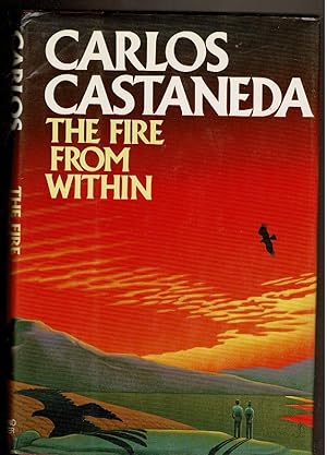 Seller image for THE FIRE FROM WITHIN for sale by Circle City Books