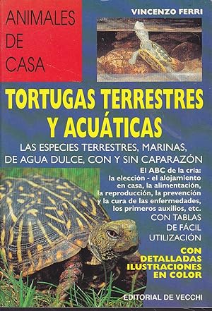 TORTUGAS TERRESTRES Y ACUATICAS Las especies terrestres- marinas -de agua dulce- con y sin capara...