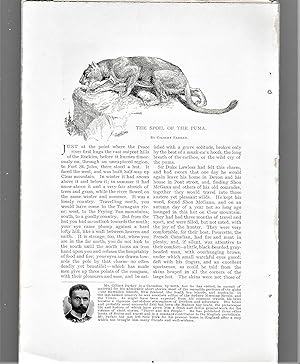 Bild des Verkufers fr The Spoil Of The Puma zum Verkauf von Legacy Books II