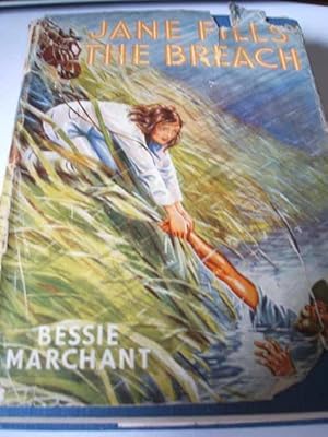 Jane Fills The Breach