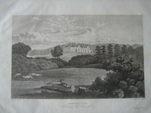 Imagen del vendedor de Original Antique Engraving Illustrating Warnham Court, The Seat of H. Tredcroft Esq. in Sussex. Published By Baxter in 1835. a la venta por Rostron & Edwards