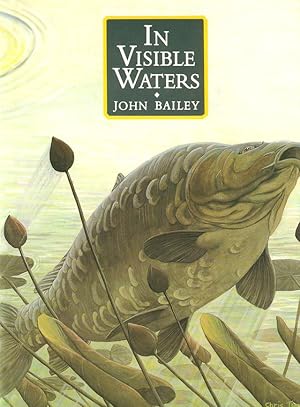 Imagen del vendedor de IN VISIBLE WATERS. By John Bailey. 2007 reprint. a la venta por Coch-y-Bonddu Books Ltd