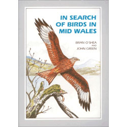 Seller image for In Search of Birds in Mid Wales for sale by Buteo Books