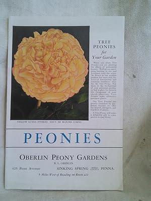 Peonies-Oberlin Peony Gardens Catalog