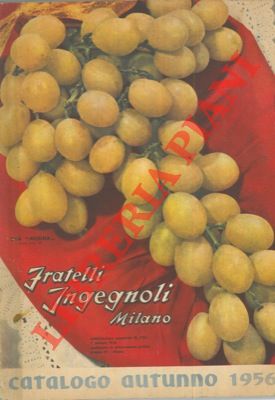 Catalogo autunno 1956.