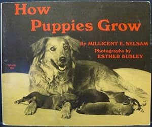 How Puppies Grow Scholastic TJ1616