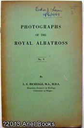 Photographs of the Royal Albatross
