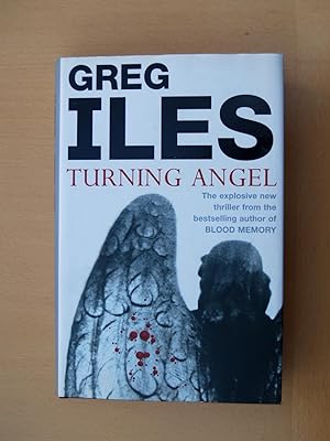 Seller image for Turning Angel for sale by Terry Blowfield
