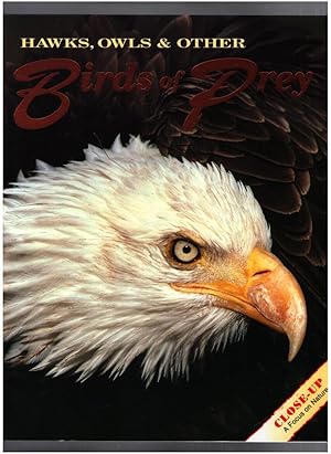 Seller image for Hawks, Owls & Other Birds of Prey for sale by Mystery Cove Book Shop