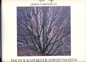 Arbres et brindilles