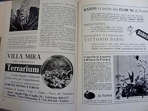 "FIORI E PIANTE, IN GIARDINO IN TERRAZZA IN CASA Rivista Mensile Anno IV n.° 1 Gennaio / n.° 12 D...