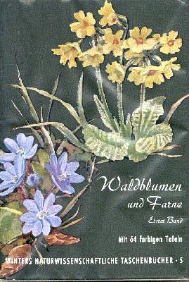 Seller image for Unsere Waldblumen und Farngewchse. Erster Band. for sale by Galerie Joy Versandantiquariat  UG (haftungsbeschrnkt)