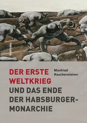 Bild des Verkufers fr Der Erste Weltkrieg : Und das Ende der Habsburgermonarchie 1914-1918 zum Verkauf von AHA-BUCH GmbH