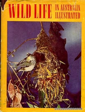 Seller image for Wild Life in Australia Illustrated for sale by Pendleburys - the bookshop in the hills