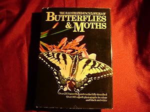 Seller image for The Illustrated Encyclopedia of Butterflies & Moths. for sale by BookMine