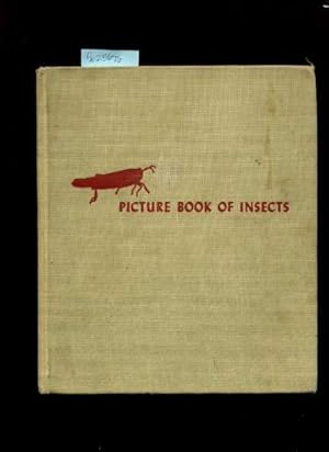 Imagen del vendedor de Picture Book of Insects [Pictorial Children's Reader, Learning to Read, Skill Building, Wonderful b/w photography, Suitable for framing] a la venta por GREAT PACIFIC BOOKS
