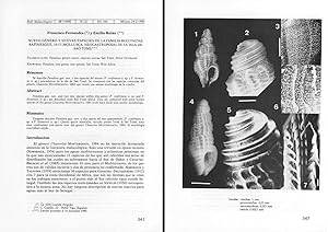 Nuevo género y nuevas especies de la familia Buccinidae Rafinesque, 1815 (Mollusca: Neogastropoda...