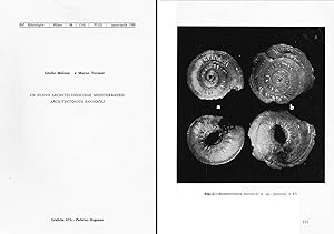 Seller image for Un nuovo Architectonicidae mediterraneo: Architectonica bannocki. In 8vo, offp., pp. 6 with 2 figs. Offprint from Boll. Mal. 16(3-4) for sale by NATURAMA