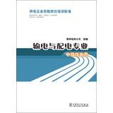 Immagine del venditore per Power supply enterprise skills job training standards: transmission and distribution expertise . Intermediate operator(Chinese Edition) venduto da liu xing