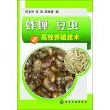 Seller image for Cicada . insect efficient farming techniques beans(Chinese Edition) for sale by liu xing