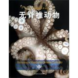 Imagen del vendedor de Britain Graphic Science Series: Invertebrates(Chinese Edition) a la venta por liu xing