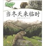 Seller image for Kiss Big Natural Science Illustrated : When winter comes(Chinese Edition) for sale by liu xing