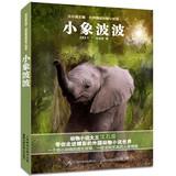 Imagen del vendedor de World Boutique Animal Stories Museum: Elephant Bobo(Chinese Edition) a la venta por liu xing