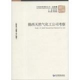 Imagen del vendedor de Study of Jinxi Natural Gas Chemical Co.Ltd(Chinese Edition) a la venta por liu xing