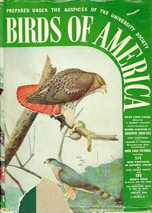 Image du vendeur pour Birds of America mis en vente par Round Table Books, LLC