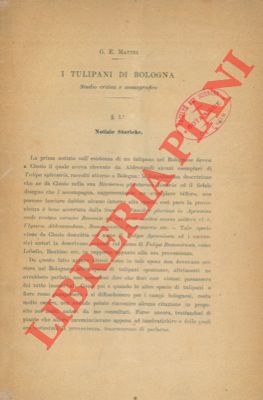 I tulipani di Bologna. Studio critico e monografico.