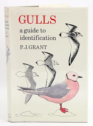 Bild des Verkufers fr Gulls: a guide to identification. zum Verkauf von Andrew Isles Natural History Books