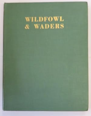 Image du vendeur pour Wildfowl & Waders Nature & Sport in the Coastlands mis en vente par St Marys Books And Prints