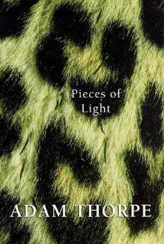 Seller image for Pieces of Light for sale by Alpha 2 Omega Books BA