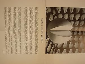 Seller image for Luigi Ferro: ambiante percettivo for sale by A Balzac A Rodin