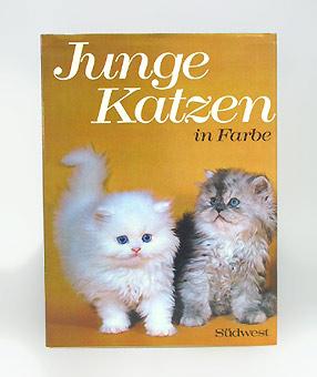Junge Katzen in Farbe. Aus dem Englischen übersetzt von Susanne Haisch.