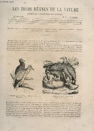Seller image for LES TROIS REGNES DE LA NATURE - LECTURES D'HISTOIRE NATURELLE / DEUXIEME ANNEE - N57 - 28 JANVIER 1865 / PREMIERE SUITE DES VAUTOURS. for sale by Le-Livre