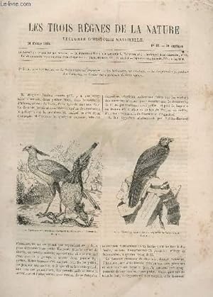 Seller image for LES TROIS REGNES DE LA NATURE - LECTURES D'HISTOIRE NATURELLE / DEUXIEME ANNEE - N60 - 18 FEVRIER 1865 / 3e SUITE DES VAUTOURS. for sale by Le-Livre