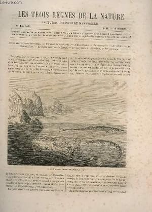 Seller image for LES TROIS REGNES DE LA NATURE - LECTURES D'HISTOIRE NATURELLE / DEUXIEME ANNEE - N65 - 25 MARS 1865 / SUITE DES POISSONS COUVEURS (EPINOCHE, EPINOCHETTE, SPINACHIE, CHABOT, LOMPE ETC.) for sale by Le-Livre